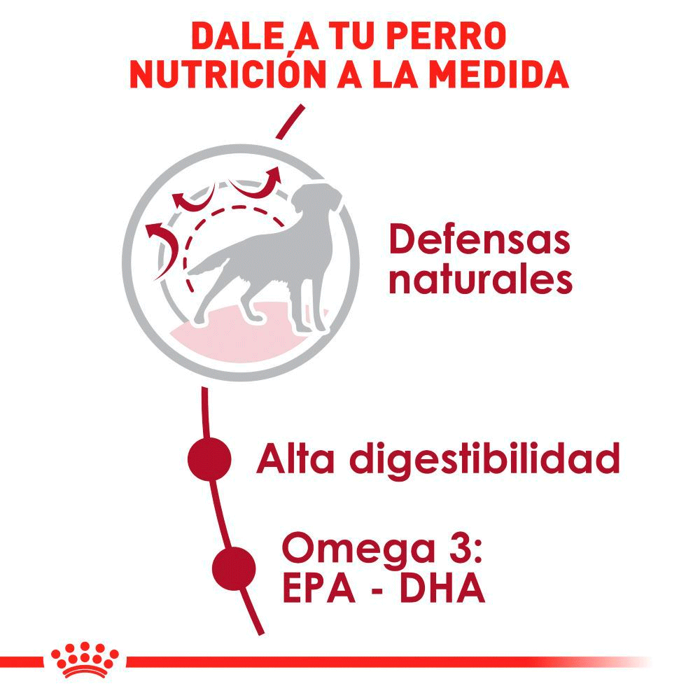 Royal Canin Adulto Raza Mediana Royal Canin Adulto Raza Mediana